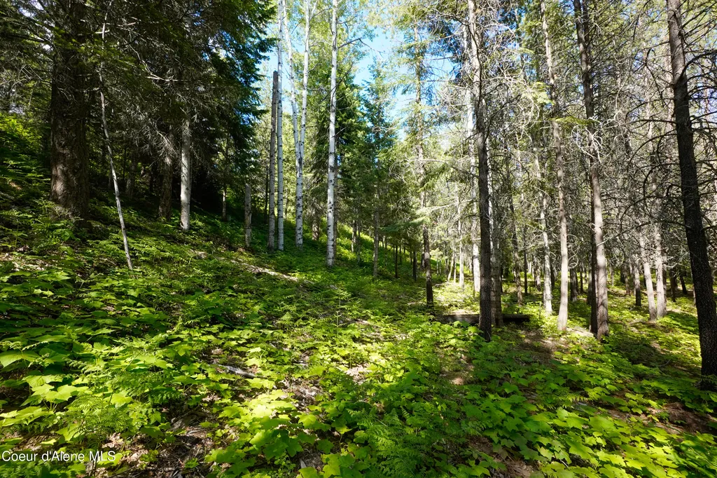 1599 Saddleback Drive Naples ID 83847