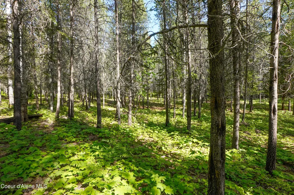 1599 Saddleback Drive Naples ID 83847
