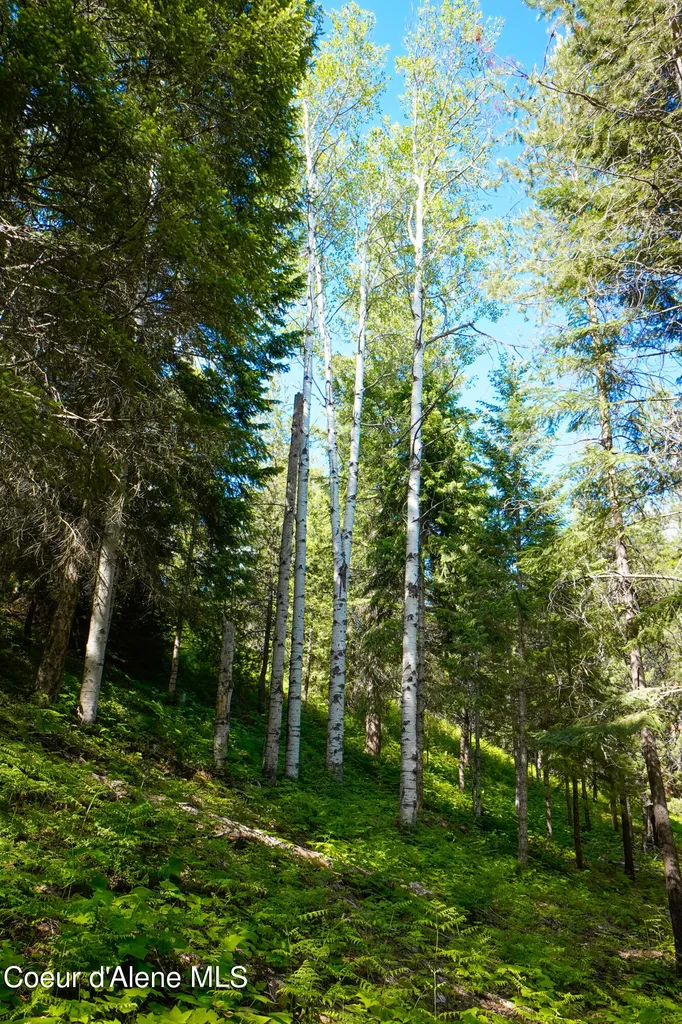 1599 Saddleback Drive Naples ID 83847