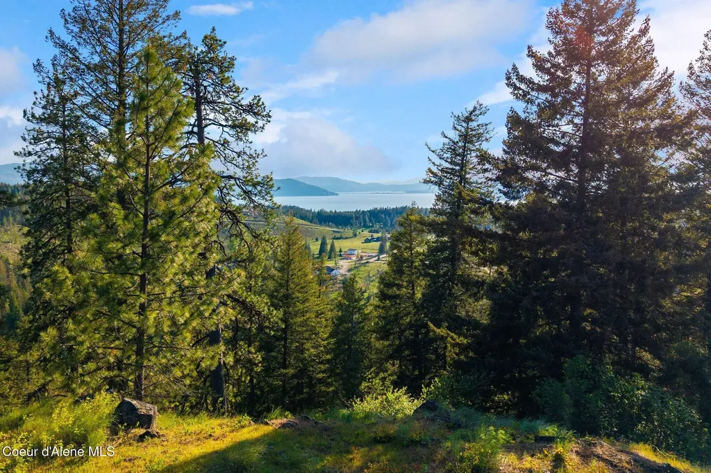 D11 White Cloud Drive Sandpoint ID 83864