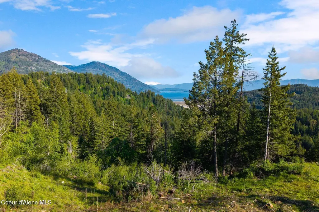 D11 White Cloud Drive Sandpoint ID 83864