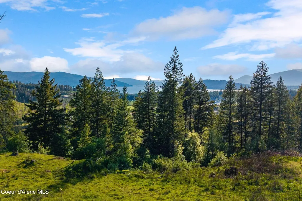 D11 White Cloud Drive Sandpoint ID 83864