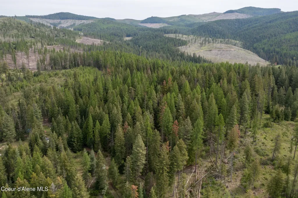 Nna Davis Creek Santa ID 83866
