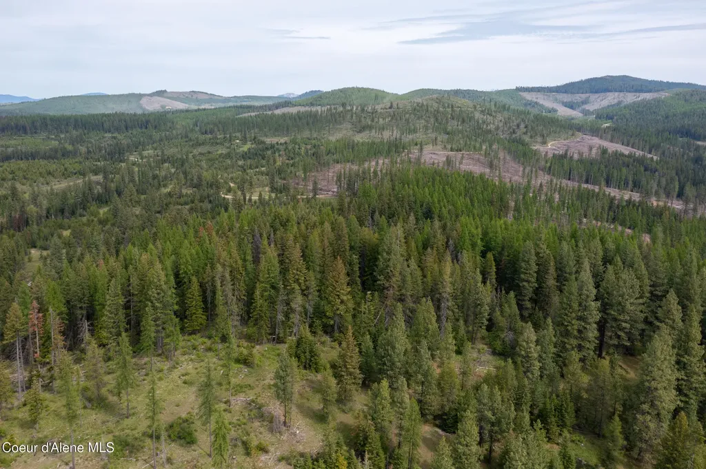 Nna Davis Creek Santa ID 83866