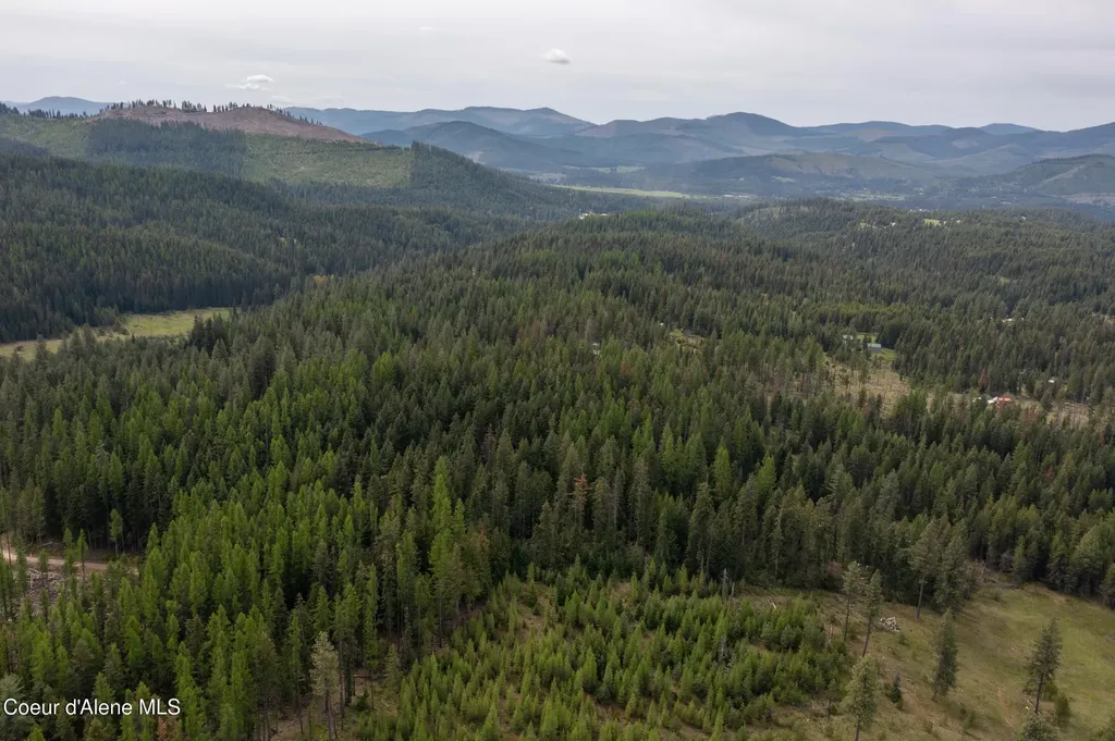 Nna Davis Creek Santa ID 83866