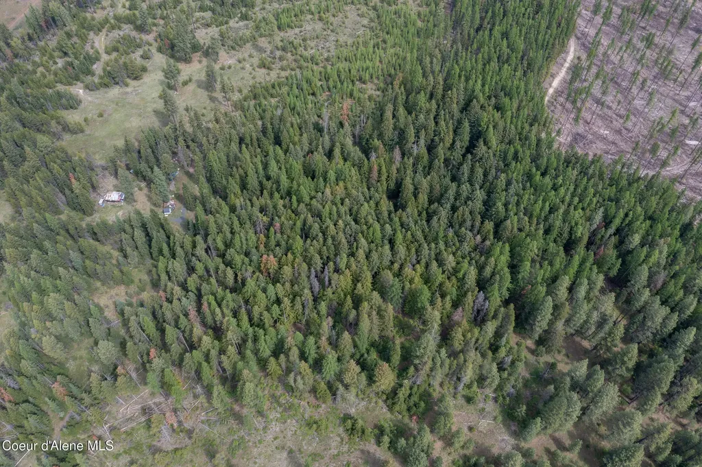 Nna Davis Creek Santa ID 83866