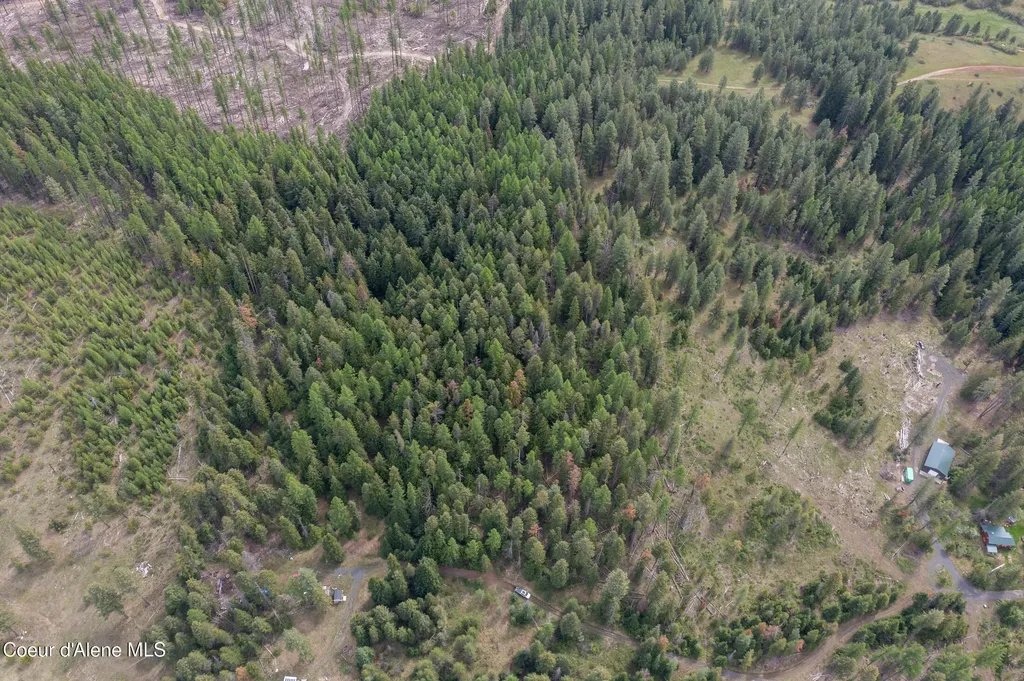 Nna Davis Creek Santa ID 83866