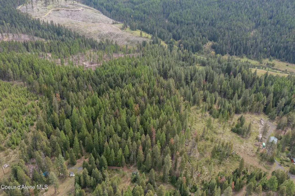 Nna Davis Creek Santa ID 83866