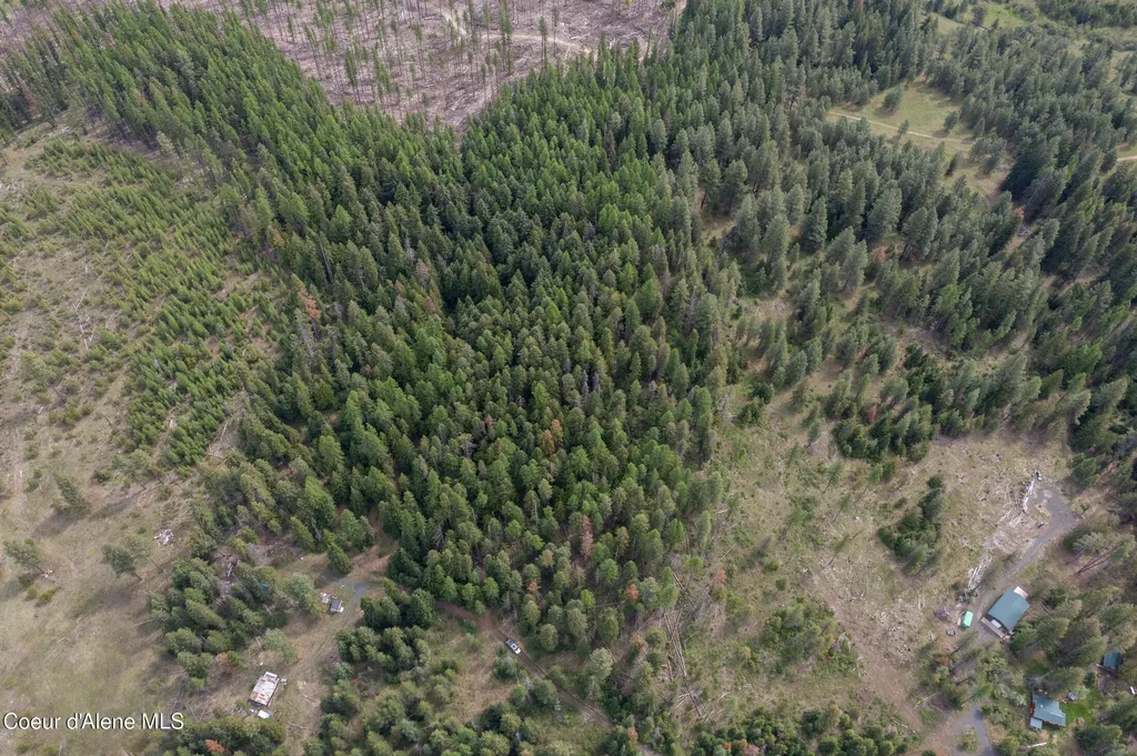 Nna Davis Creek Santa ID 83866