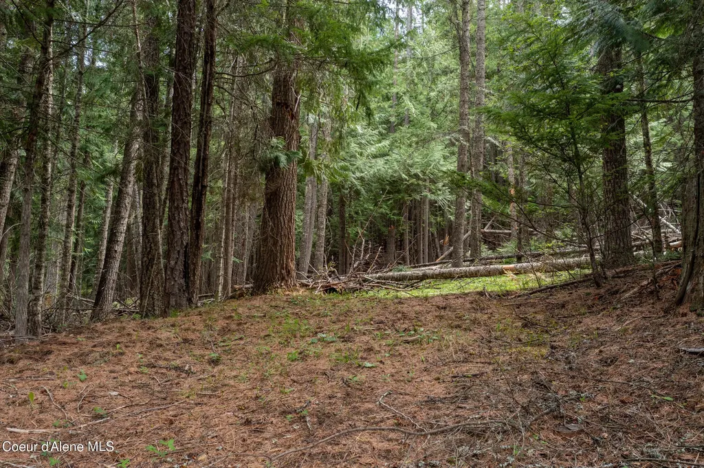 Nna Davis Creek Santa ID 83866
