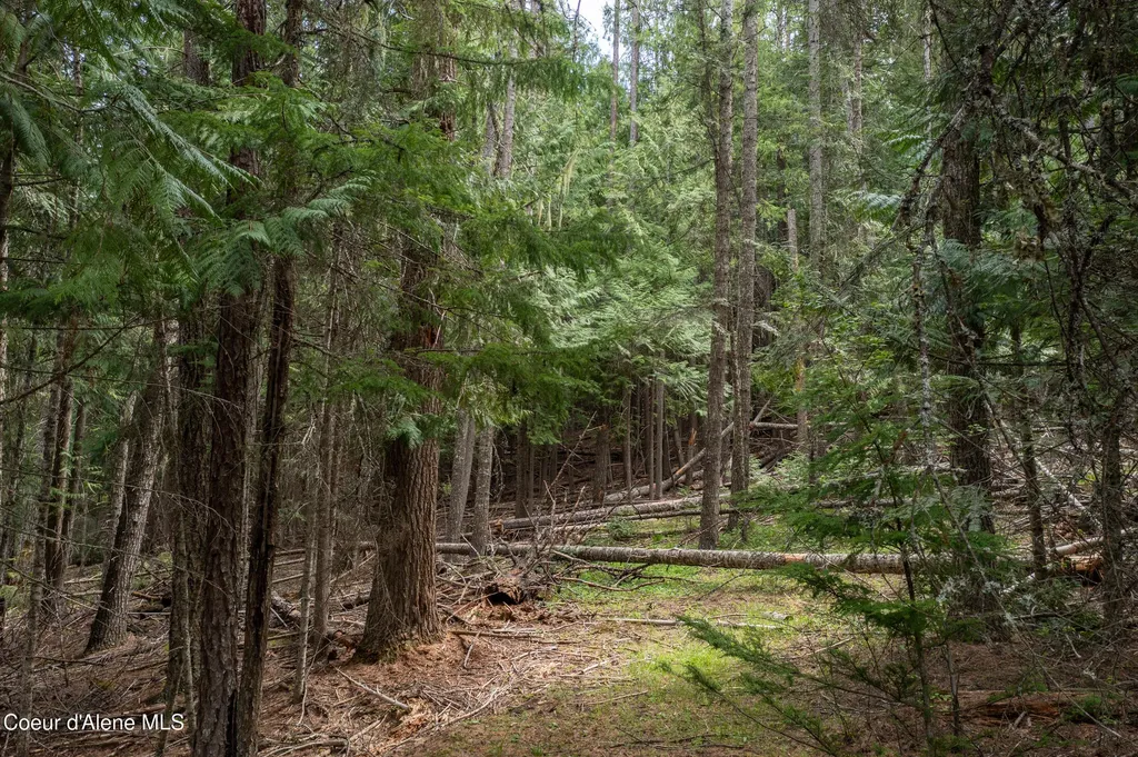 Nna Davis Creek Santa ID 83866