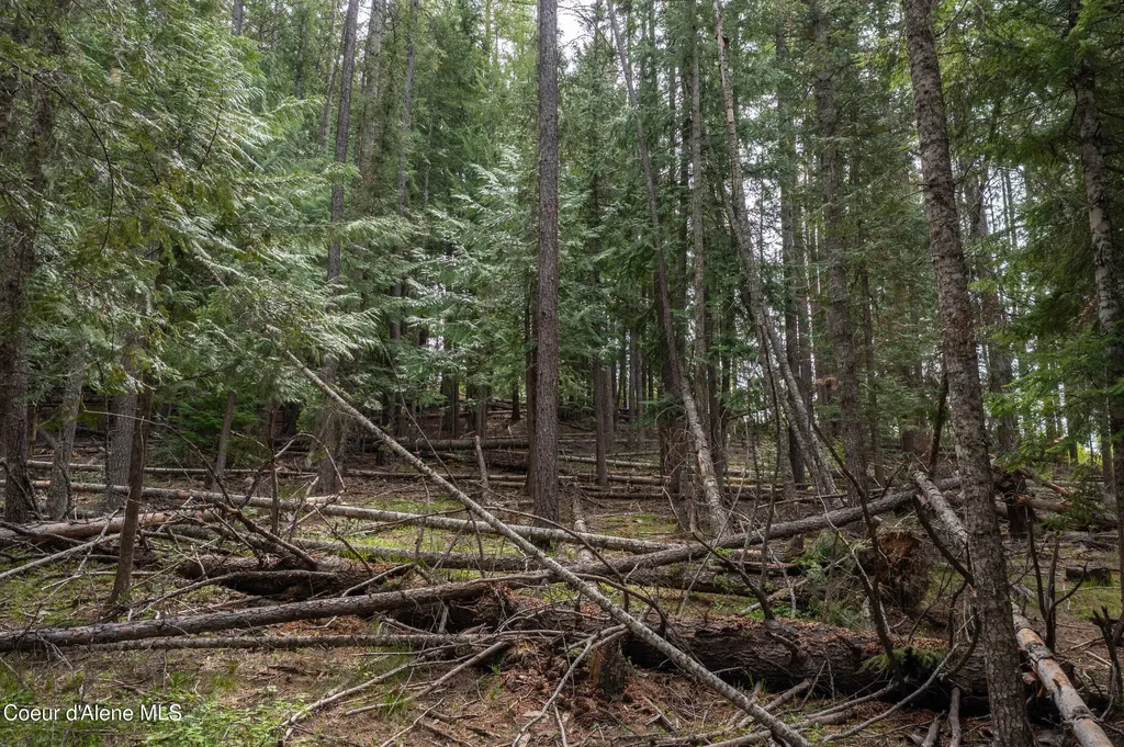 Nna Davis Creek Santa ID 83866