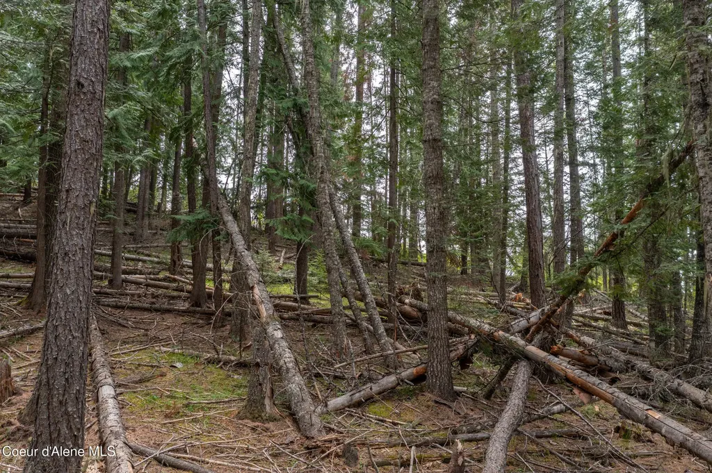 Nna Davis Creek Santa ID 83866