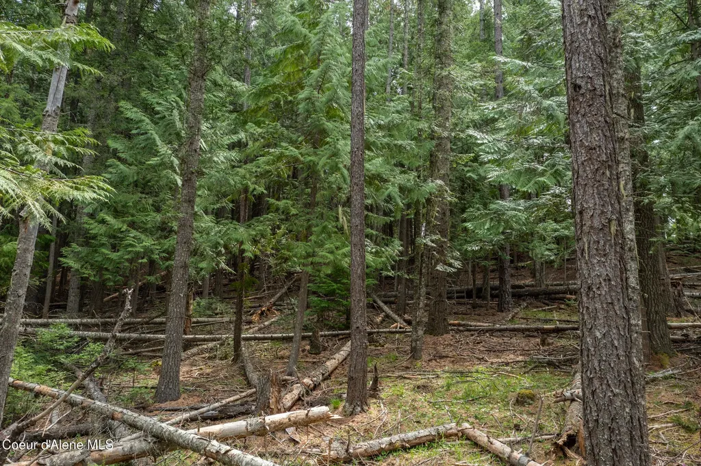Nna Davis Creek Santa ID 83866