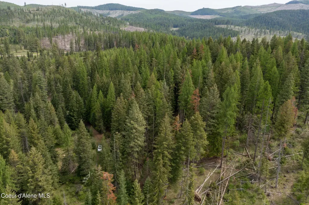 Nna Davis Creek Santa ID 83866
