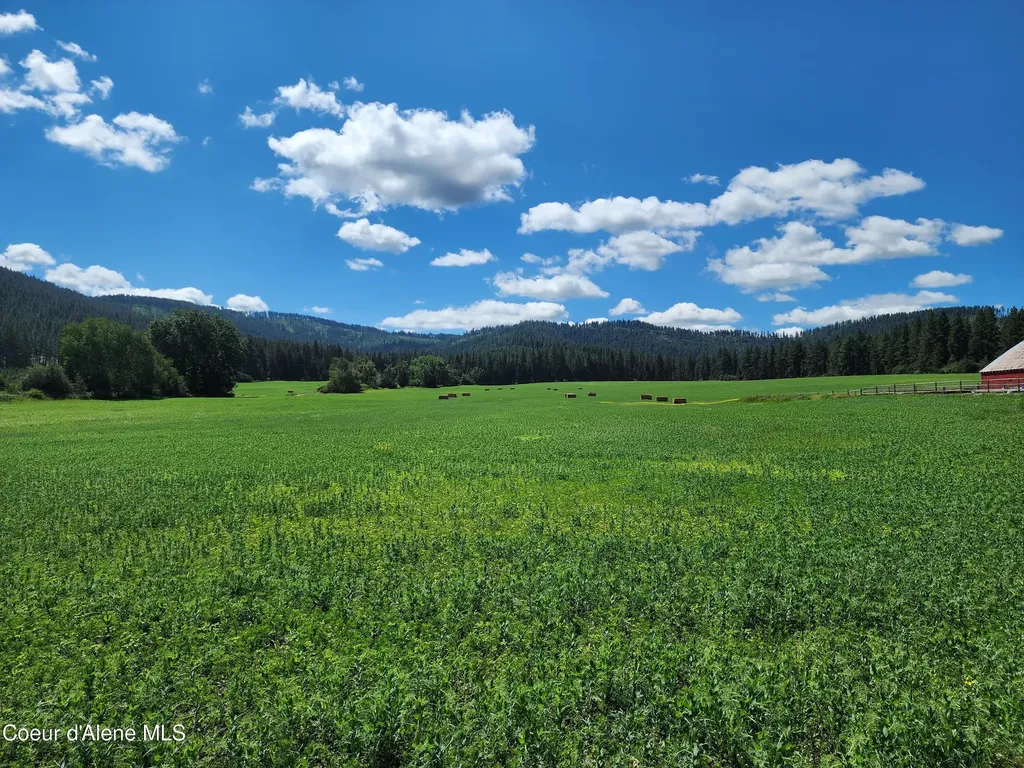 Nka Desmet Road Desmet ID 83824
