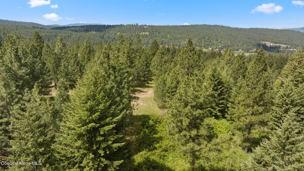 Nka S Alexanna Lane Post Falls ID 83854