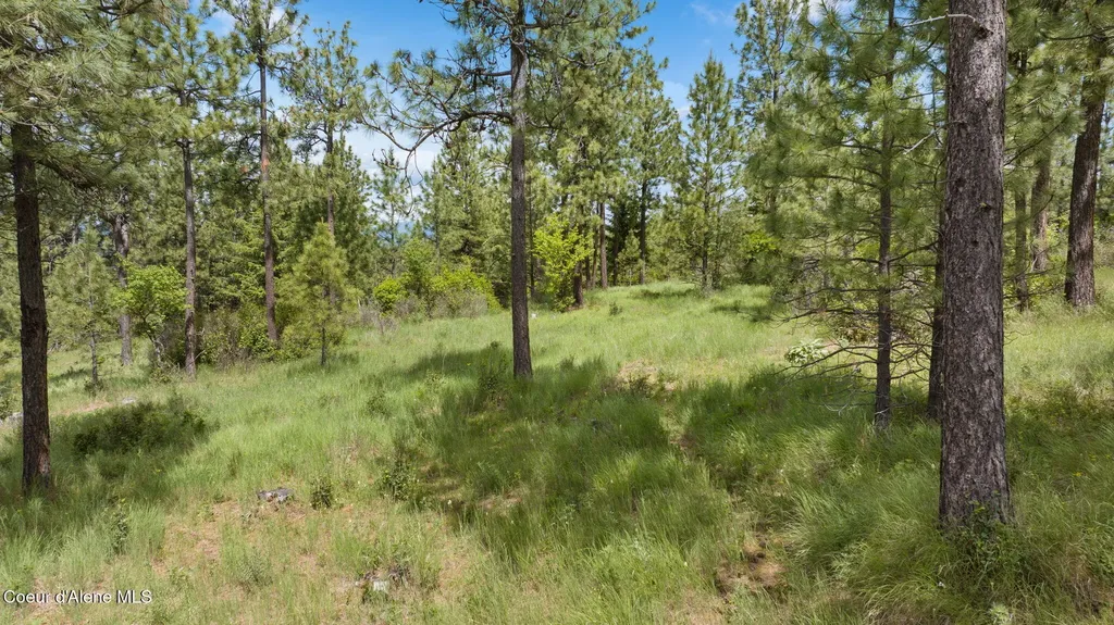 Nka S Alexanna Lane Post Falls ID 83854
