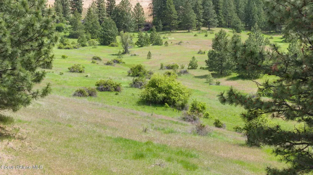 Nka S Alexanna Lane Post Falls ID 83854