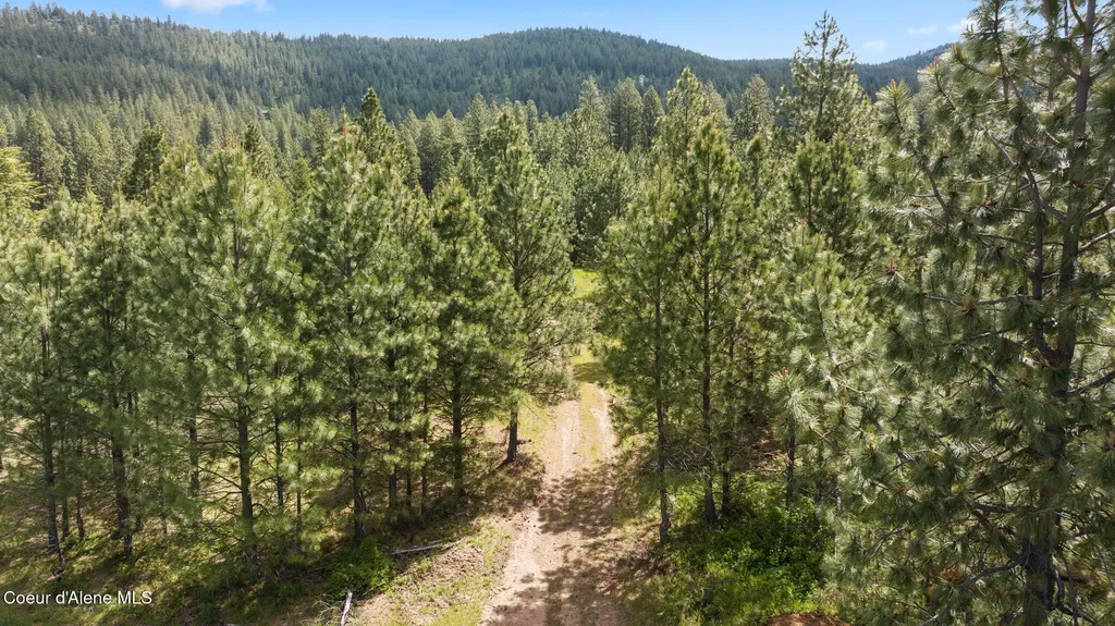 Nka S Alexanna Lane Post Falls ID 83854