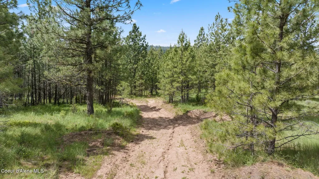 Nka S Alexanna Lane Post Falls ID 83854