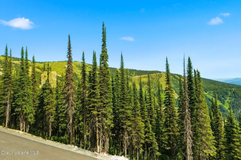 723 Tall Timber Road Sandpoint ID 83864