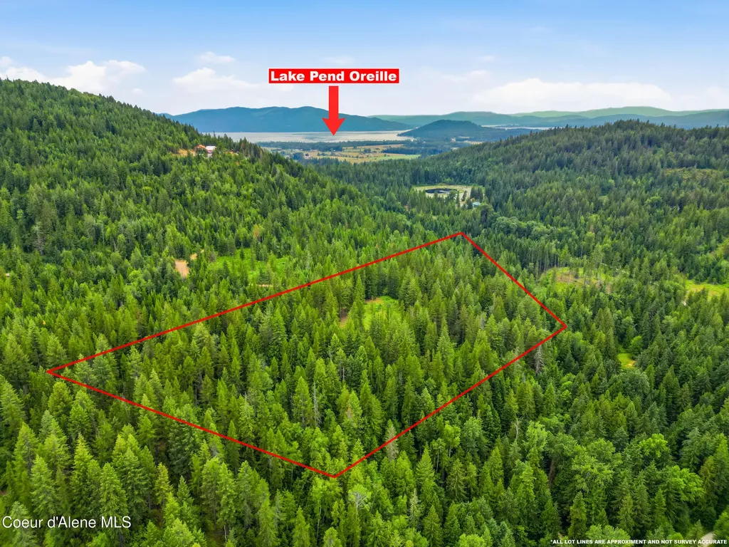 217 Whodathunkit Road Sandpoint ID 83864