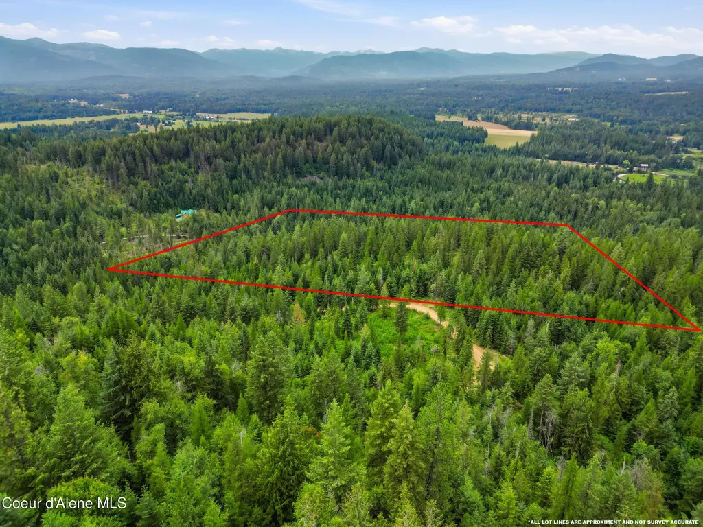 217 Whodathunkit Road Sandpoint ID 83864