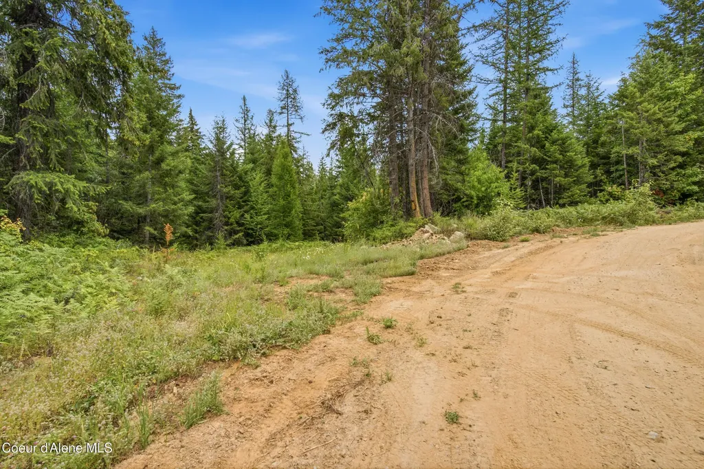 217 Whodathunkit Road Sandpoint ID 83864