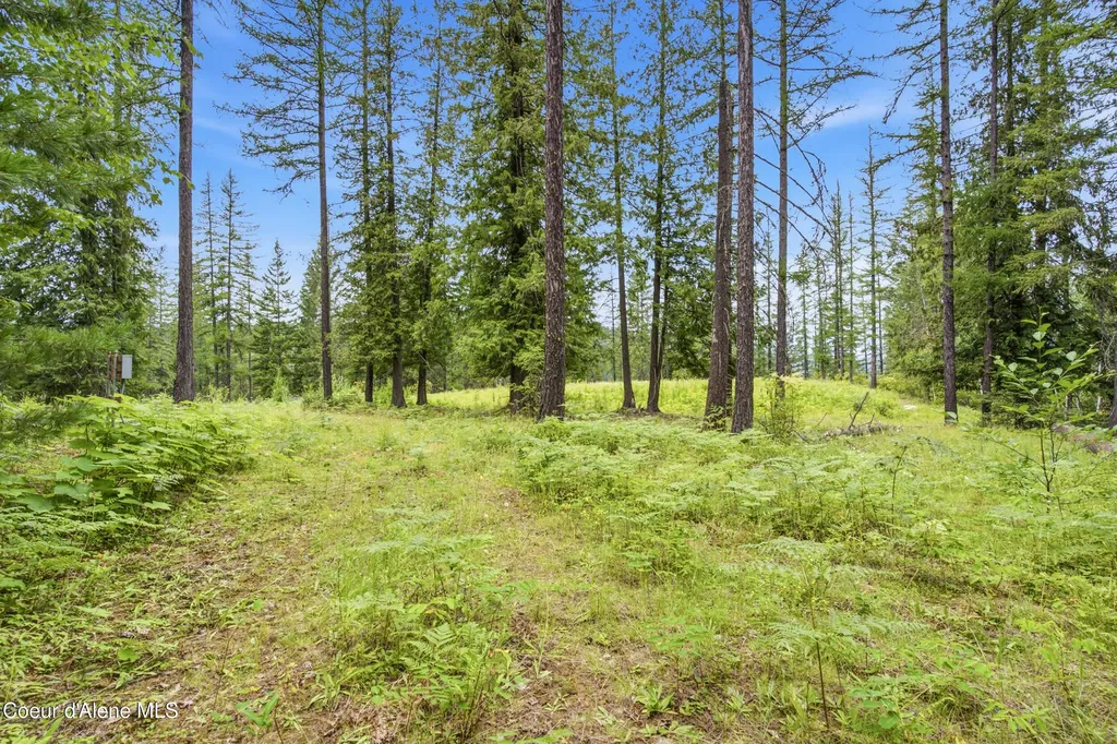 217 Whodathunkit Road Sandpoint ID 83864