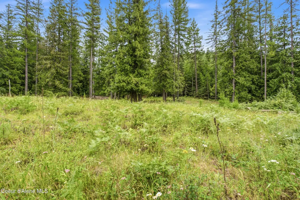 217 Whodathunkit Road Sandpoint ID 83864