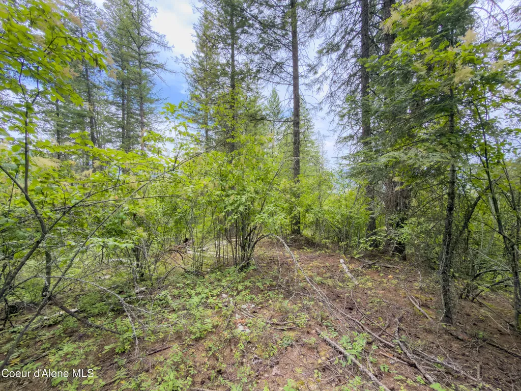 217 Whodathunkit Road Sandpoint ID 83864
