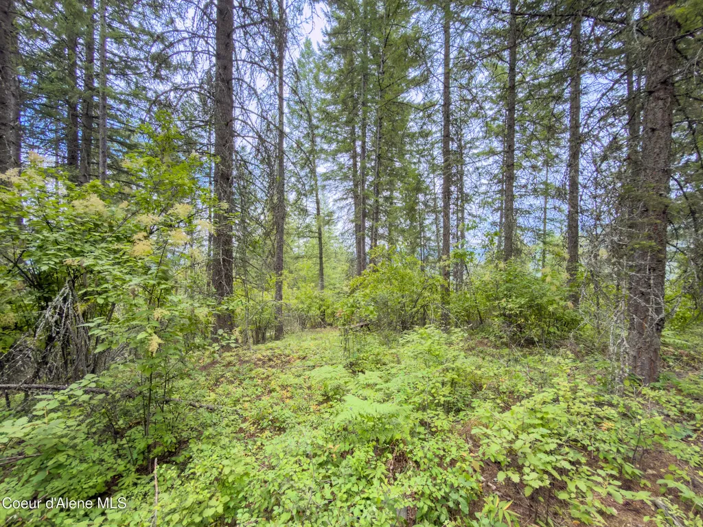 217 Whodathunkit Road Sandpoint ID 83864