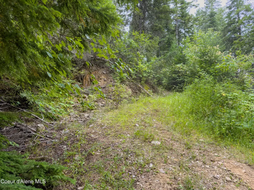 217 Whodathunkit Road Sandpoint ID 83864