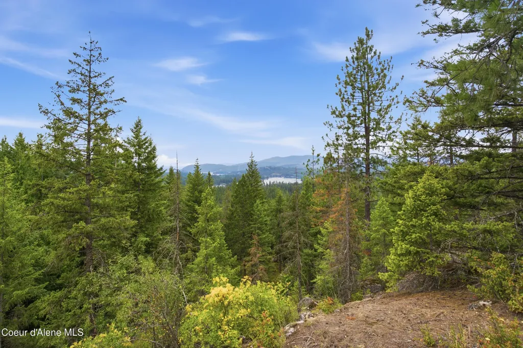794 Wild Turkey Road Sandpoint ID 83864