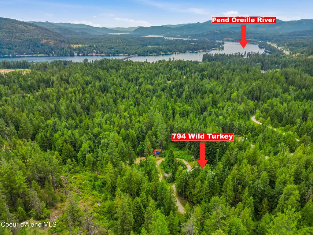 794 Wild Turkey Road Sandpoint ID 83864