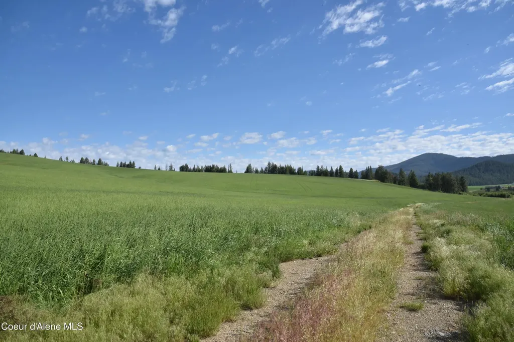 Nna Sanders Road Tensed ID 83870