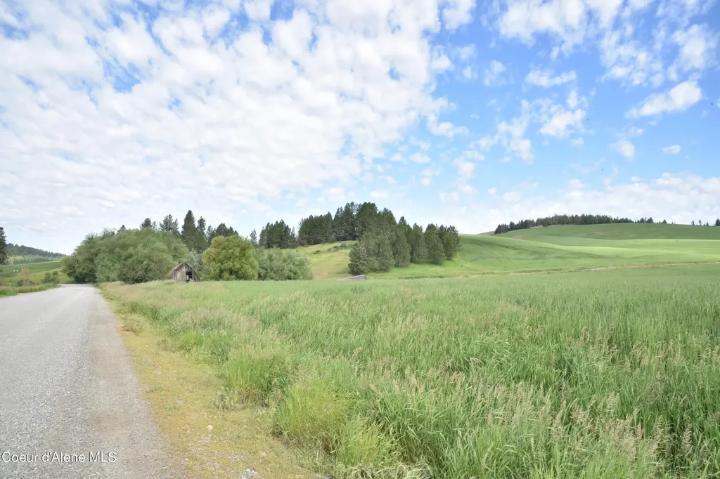 Nna Sanders Road Tensed ID 83870