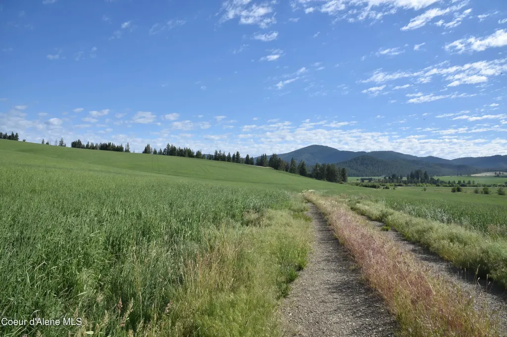 Nna Sanders Road Tensed ID 83870