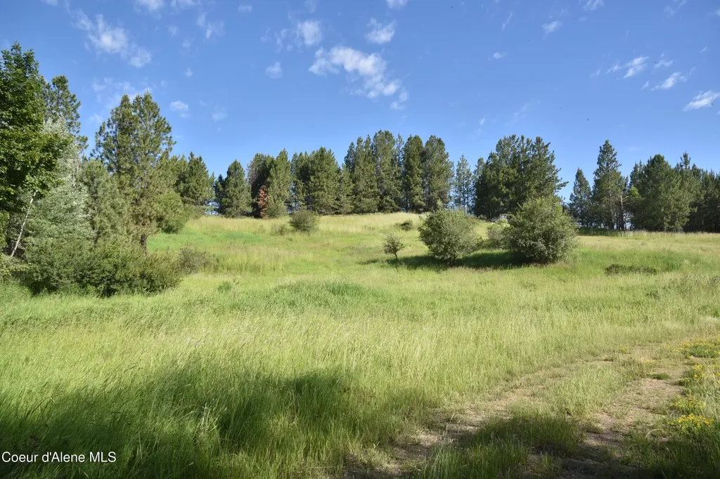 Nna Sanders Road Tensed ID 83870