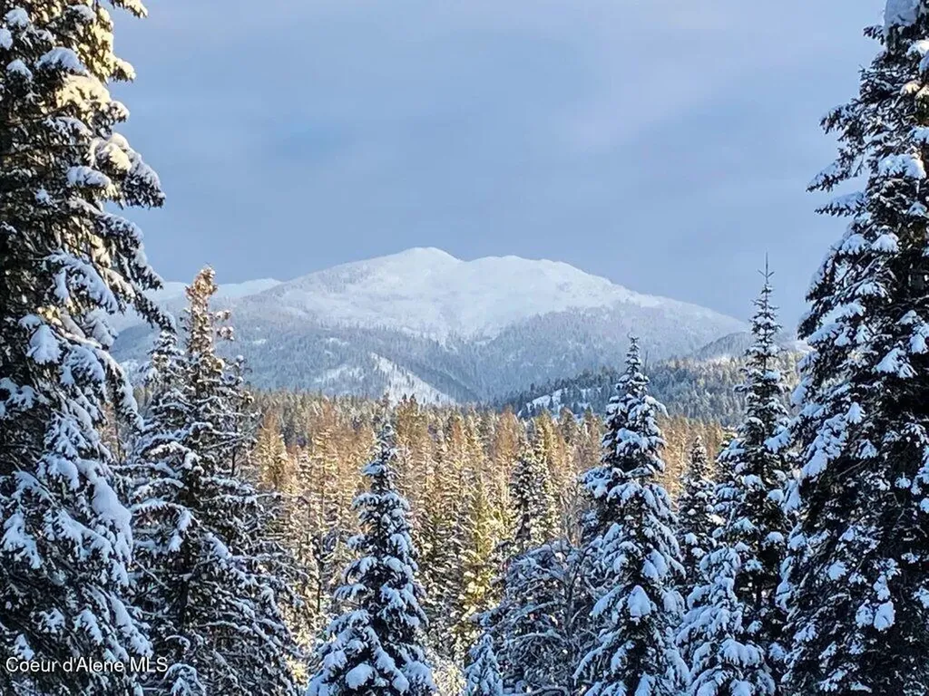 627 Gray Wolf Road Moyie Springs ID 83845