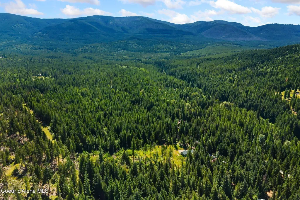 273 Flume Creek Road Sandpoint ID 83864