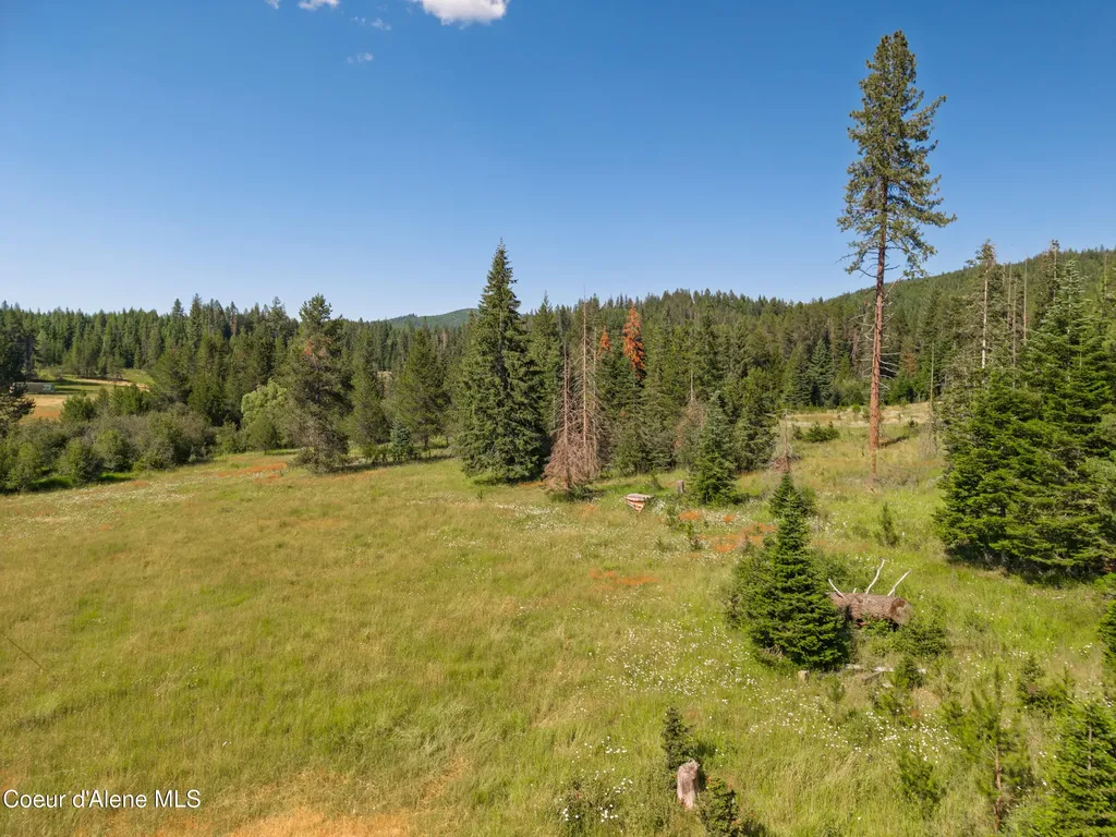 416 Crystal Creek Road Fernwood ID 83830