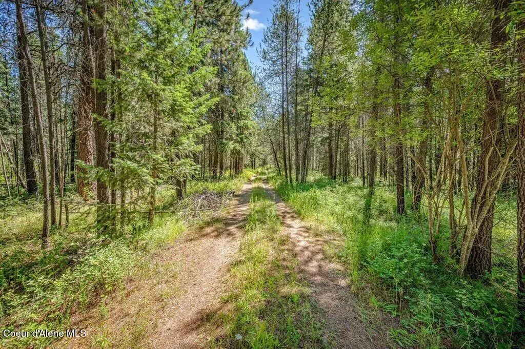 2013 Homestead Road Athol ID 83801