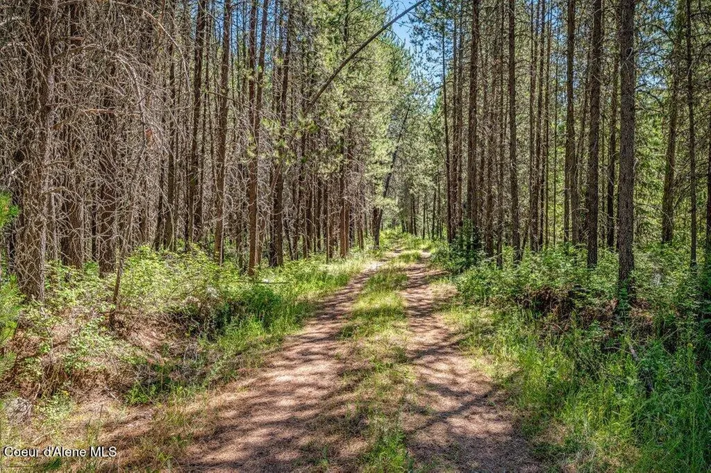 2013 Homestead Road Athol ID 83801