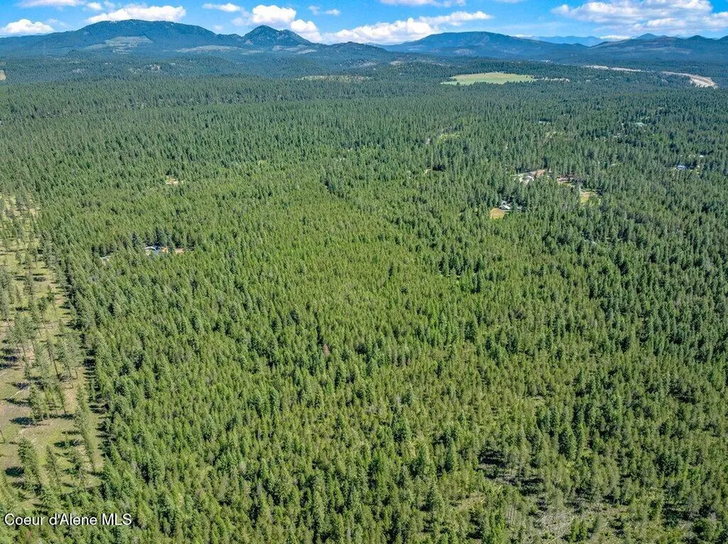 2013 Homestead Road Athol ID 83801