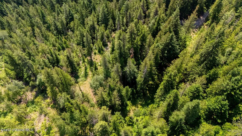 466 Rincon Drive Sandpoint ID 83864
