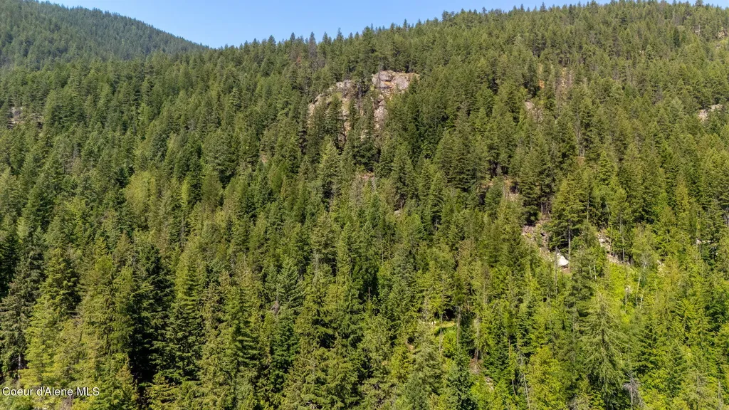 466 Rincon Drive Sandpoint ID 83864