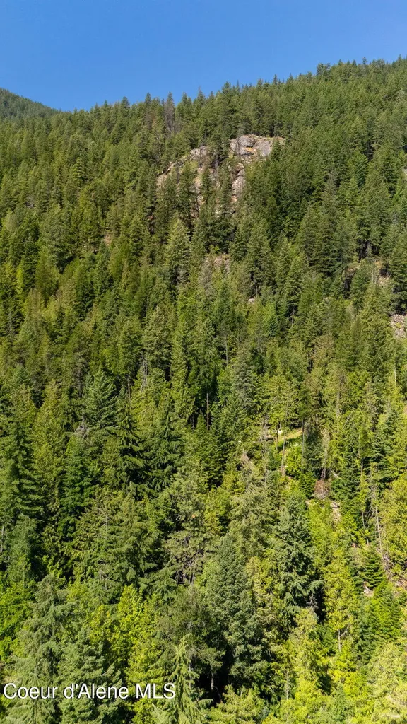 466 Rincon Drive Sandpoint ID 83864