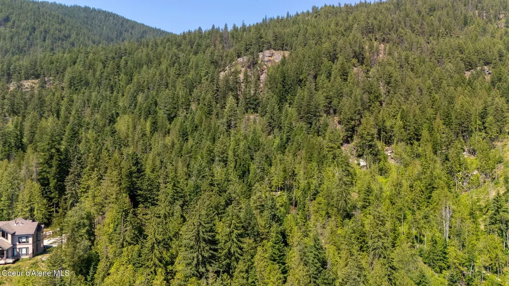 466 Rincon Drive Sandpoint ID 83864